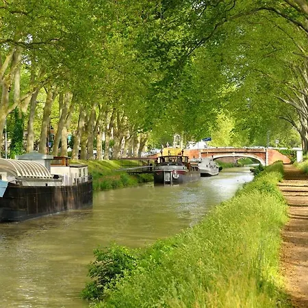 My Toul'house Toulouse
