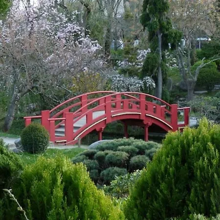 My Toul'house Toulouse