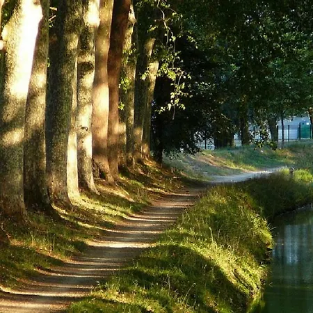 My Toul'house Toulouse