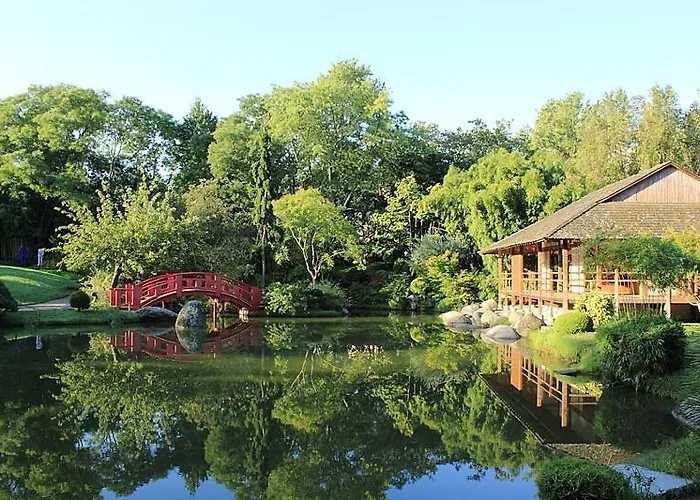 Appartement My Toul'house *